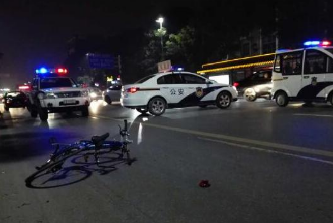 父親被撞司機逃逸